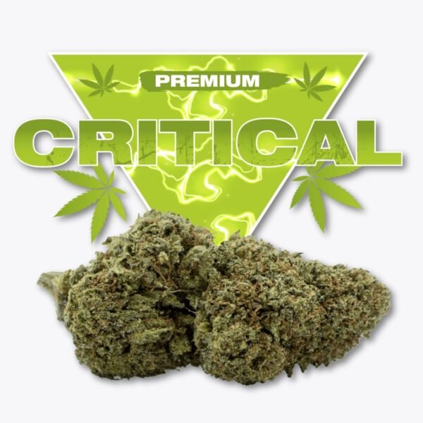Fleur CBD Critical Golden CBD