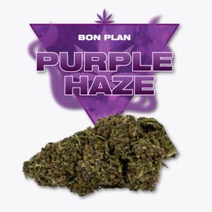 Fleur CBD Purple Haze Golden CBD