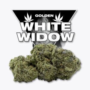 White Widow CBD Golden CBD